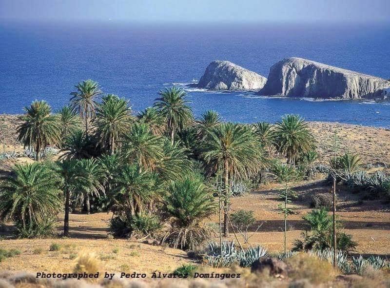 Isleta Del Moro Daniel Apartman La Isleta del Moro Kültér fotó